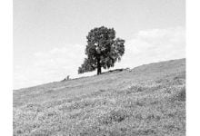 Blank Gloss Full Album Zip Cornered Download