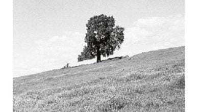 Blank Gloss Full Album Zip Cornered Download