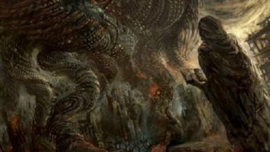 Contrarian Full Album Sage of Shekhinah Zip Download