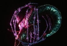 Download Gideon More Power. More Pain. Zip Full Album