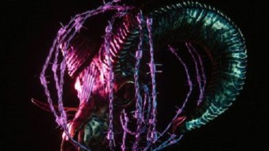 Download Gideon More Power. More Pain. Zip Full Album