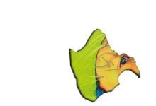 Download Niklas Paschburg Panta Rhei Zip Full Album