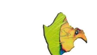 Download Niklas Paschburg Panta Rhei Zip Full Album