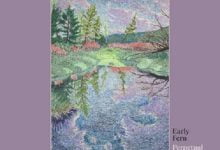 Early Fern Full Album Perpetual Care Zip Download