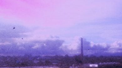 Flyying Colours Full Album Zip You Never Know Download