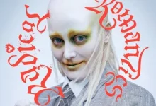 Full Album Zip Fever Ray Radical Romantics Download