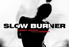 Larry Gaaga x Joeboy Slow Burner MP4 Download Music Video