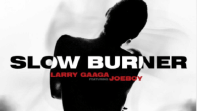 Larry Gaaga x Joeboy Slow Burner MP4 Download Music Video
