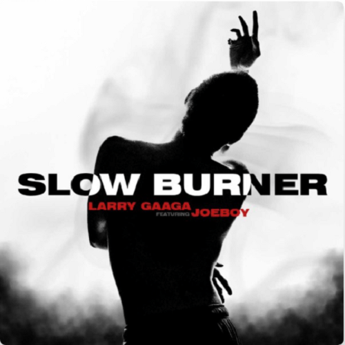 Larry Gaaga x Joeboy Slow Burner MP4 Download Music Video