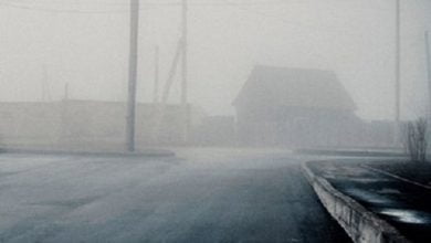 Music Album Downfall of Gaia Silhouettes of Disgust Mp3 Zip Download