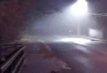 Music Album Stegosaurus 2 o 1 6 Mp3 Zip Download