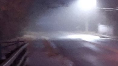 Music Album Stegosaurus 2 o 1 6 Mp3 Zip Download