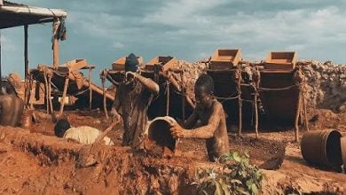 Music Video Best Naso Fighter MP4 Download