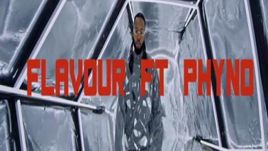 Video Mp4 Flavour ft. Phyno Doings Download