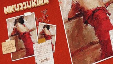 Video Mp4 Sheebah Nkujjukira Download