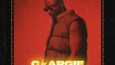 Video Sean Tizzle Chargie MP4 Download