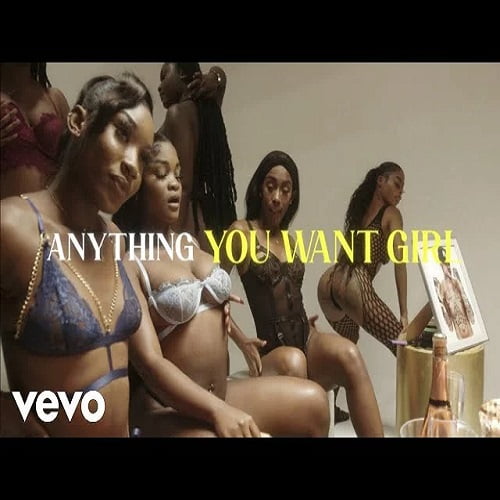 Video Vybz Kartel Anything You Want Girl MP4 Download